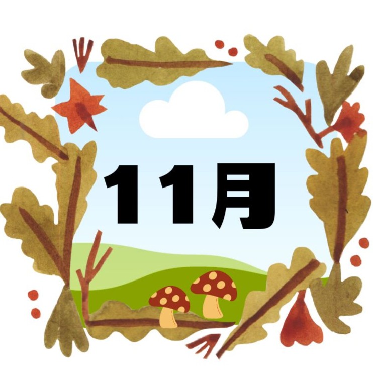 11月の展示はこちら